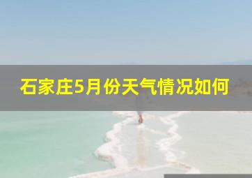 石家庄5月份天气情况如何