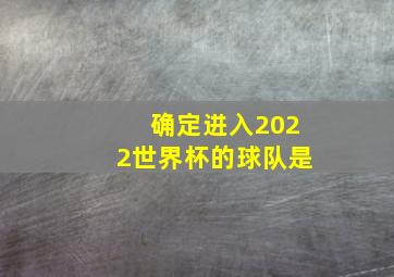 确定进入2022世界杯的球队是