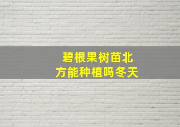 碧根果树苗北方能种植吗冬天