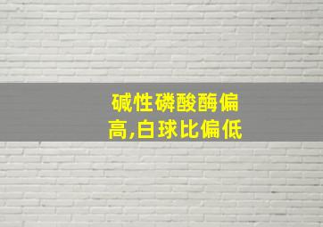 碱性磷酸酶偏高,白球比偏低