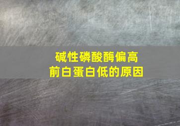 碱性磷酸酶偏高前白蛋白低的原因