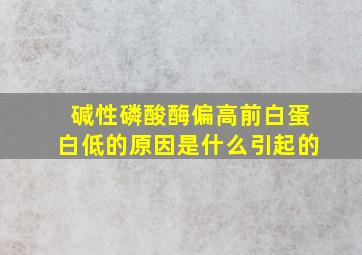 碱性磷酸酶偏高前白蛋白低的原因是什么引起的