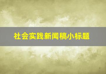 社会实践新闻稿小标题