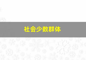 社会少数群体