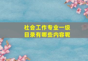 社会工作专业一级目录有哪些内容呢