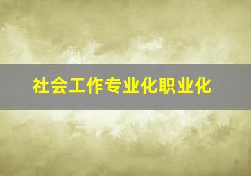 社会工作专业化职业化