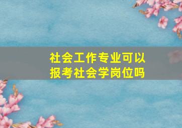 社会工作专业可以报考社会学岗位吗