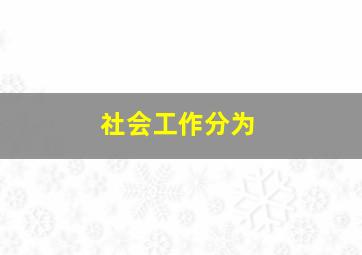 社会工作分为