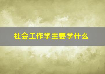 社会工作学主要学什么