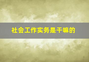 社会工作实务是干嘛的