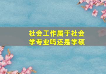 社会工作属于社会学专业吗还是学硕