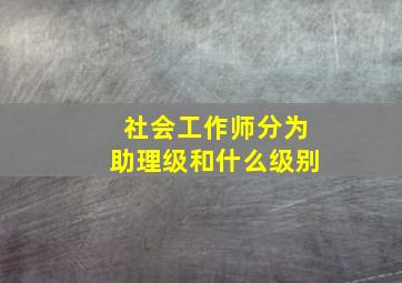 社会工作师分为助理级和什么级别