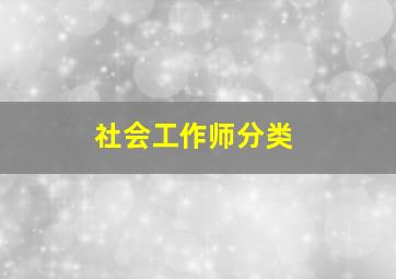 社会工作师分类