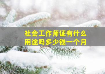 社会工作师证有什么用途吗多少钱一个月