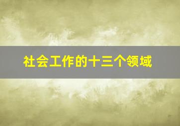 社会工作的十三个领域