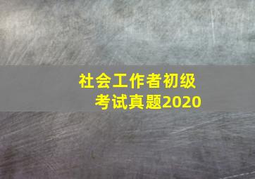 社会工作者初级考试真题2020