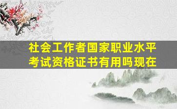 社会工作者国家职业水平考试资格证书有用吗现在