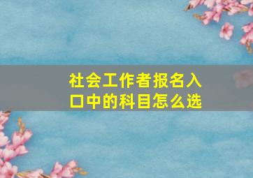 社会工作者报名入口中的科目怎么选