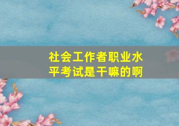 社会工作者职业水平考试是干嘛的啊