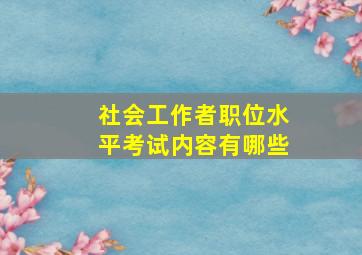 社会工作者职位水平考试内容有哪些