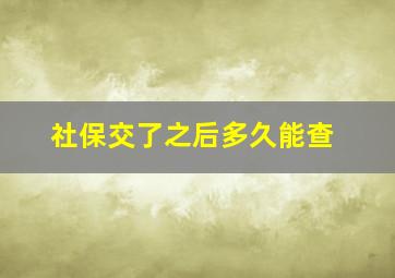 社保交了之后多久能查