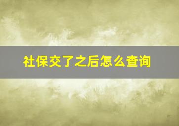 社保交了之后怎么查询