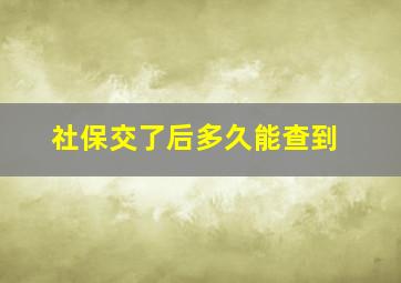 社保交了后多久能查到