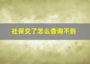 社保交了怎么杳询不到