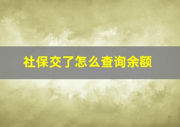 社保交了怎么查询余额