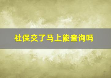 社保交了马上能查询吗