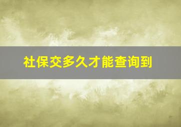 社保交多久才能查询到