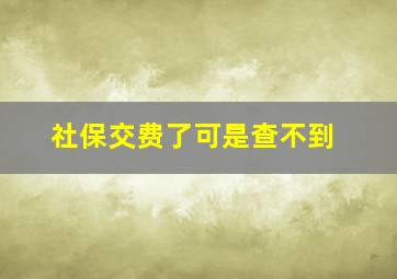 社保交费了可是查不到