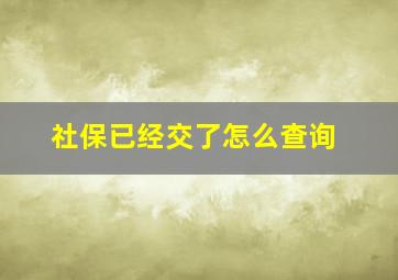 社保已经交了怎么查询