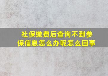 社保缴费后查询不到参保信息怎么办呢怎么回事