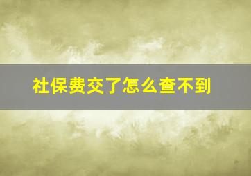 社保费交了怎么查不到