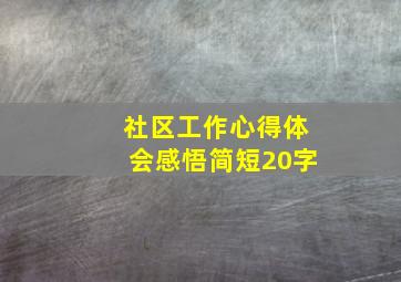 社区工作心得体会感悟简短20字