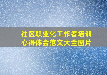 社区职业化工作者培训心得体会范文大全图片