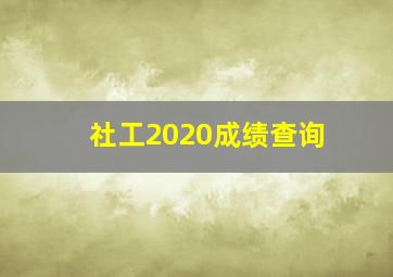 社工2020成绩查询