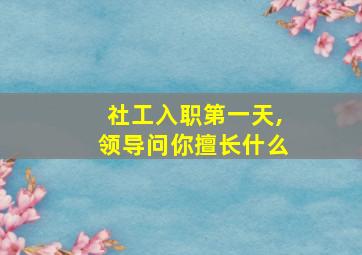 社工入职第一天,领导问你擅长什么