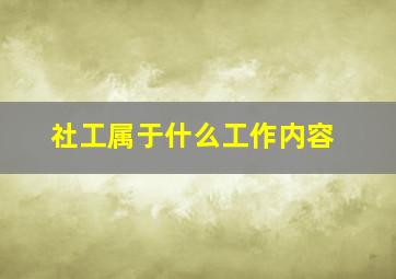 社工属于什么工作内容