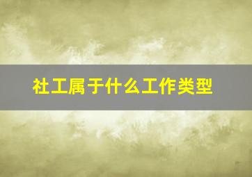 社工属于什么工作类型