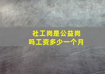 社工岗是公益岗吗工资多少一个月