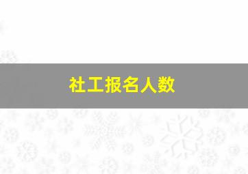 社工报名人数