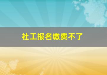 社工报名缴费不了