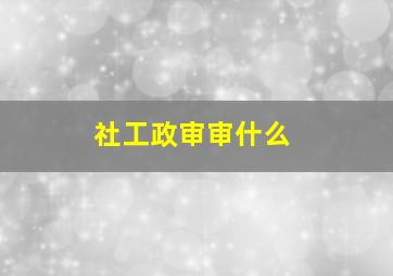 社工政审审什么