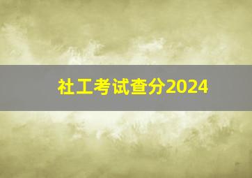 社工考试查分2024