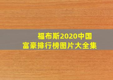 福布斯2020中国富豪排行榜图片大全集