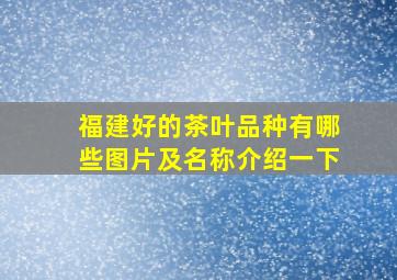 福建好的茶叶品种有哪些图片及名称介绍一下