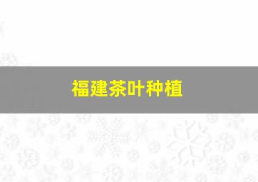 福建茶叶种植