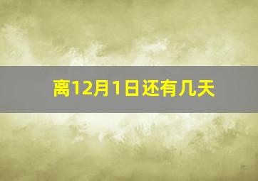 离12月1日还有几天